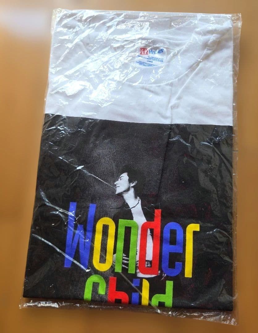 GAO 　アルバム　Wonder Child ツアーTシャツ GAO アルバム Wonder Child ツアーTシャツ