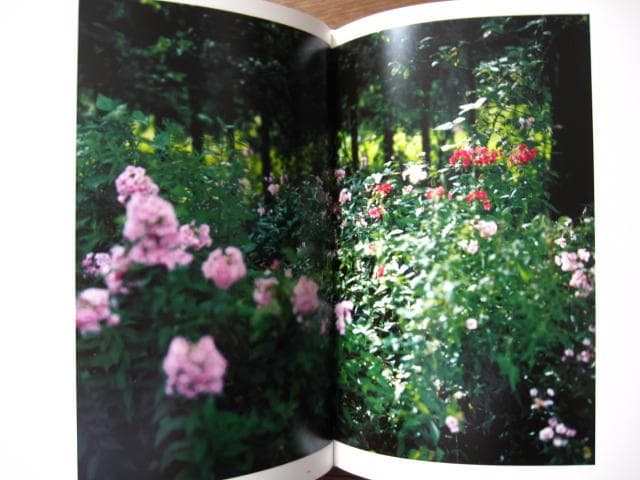 意識の流れ Stream of consciousness 鈴木理策 チラシ付き - メルカリ