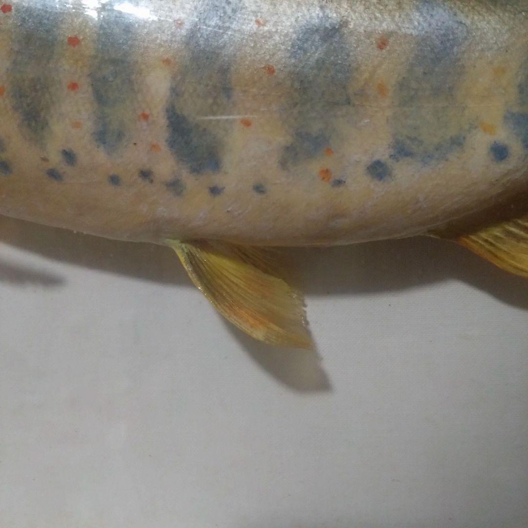 《値下げOK》希少品 尺ヤマメ 剥製 額装品 渓流の女王 山女魚 縁起物