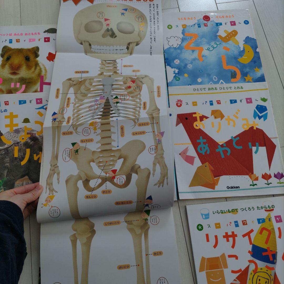 スーパーワイドずかん 12冊 学研 - メルカリ