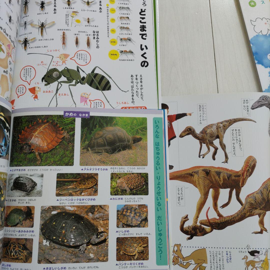 スーパーワイドずかん 12冊 学研 - メルカリ