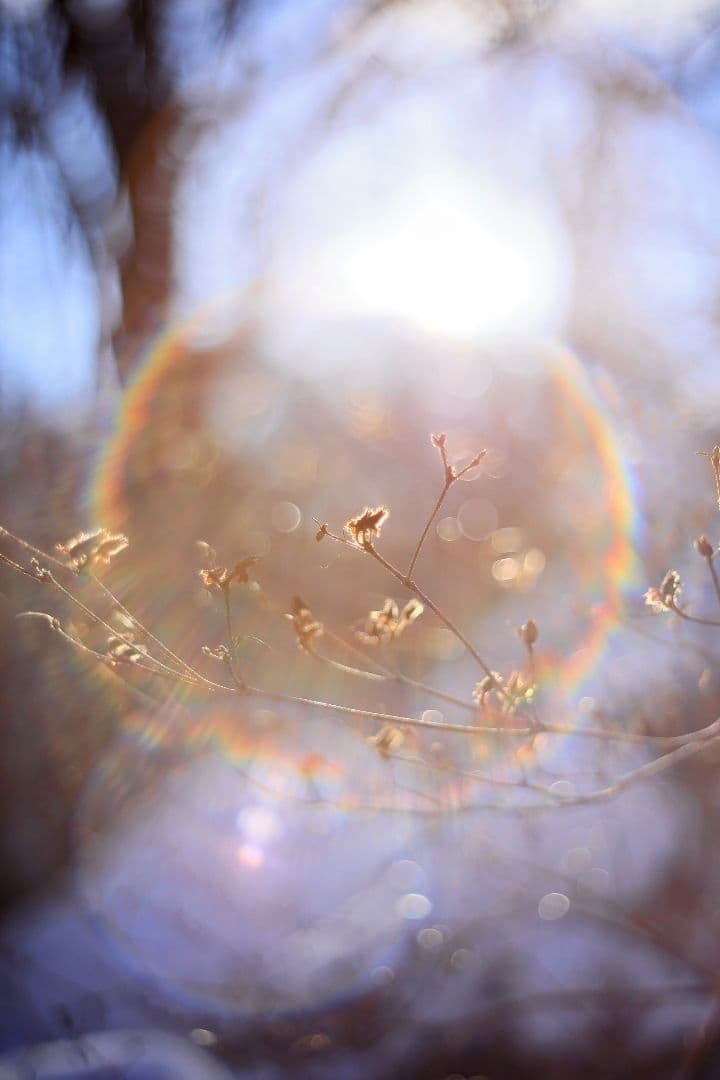 Super-Takumar 55mm F1.8 初期型 S/N：694057 - メルカリ