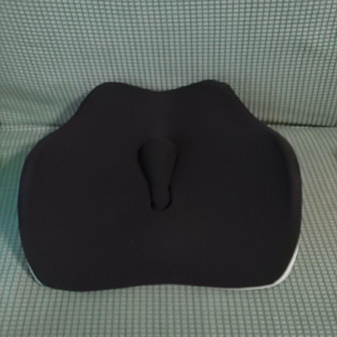 アラインパッド プロ AllignPad Pro 姿勢補正 クッション 骨盤矯正