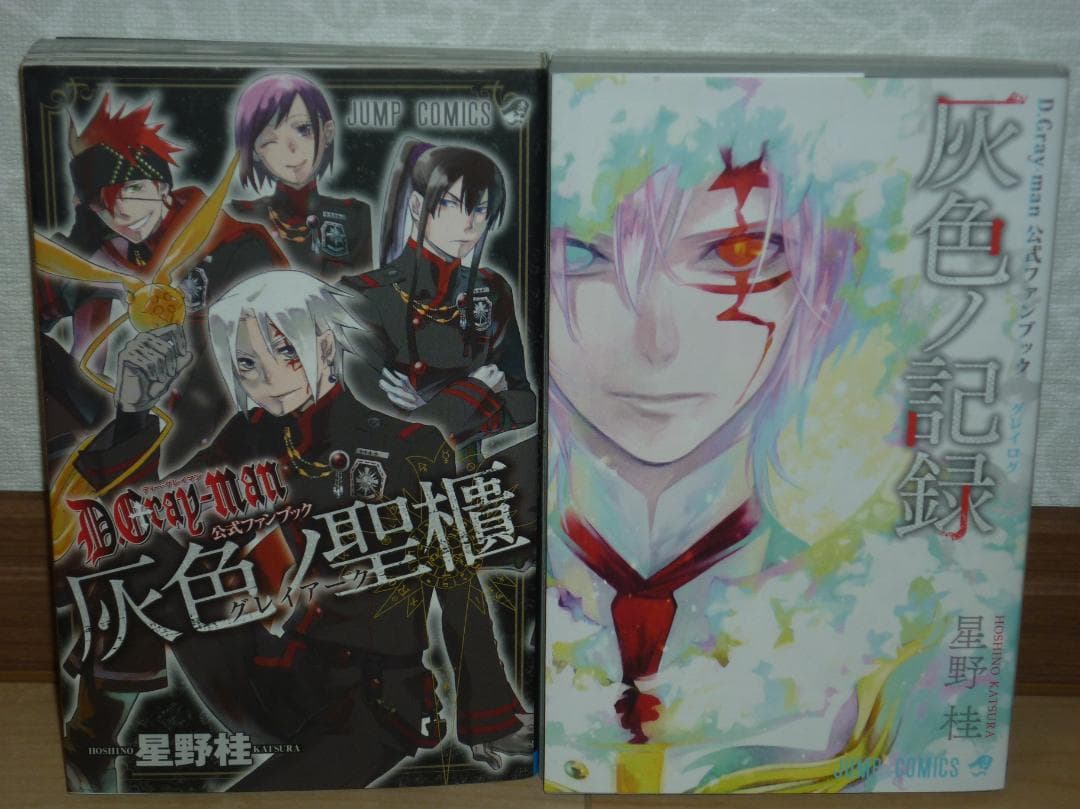 D.Gray-man 公式ファンブック 灰色ノ聖櫃・灰色ノ記録 セット (初版