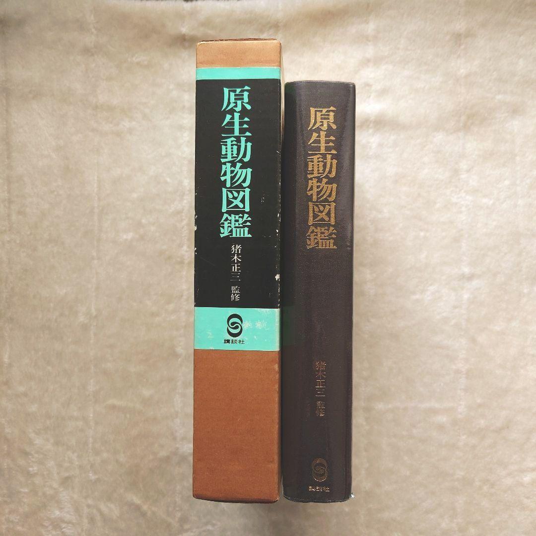 原生動物図鑑　猪木正三監修　講談社 原生動物図鑑 猪木正三監修 講談社 原生動物図鑑 猪木正三監修 講談社
