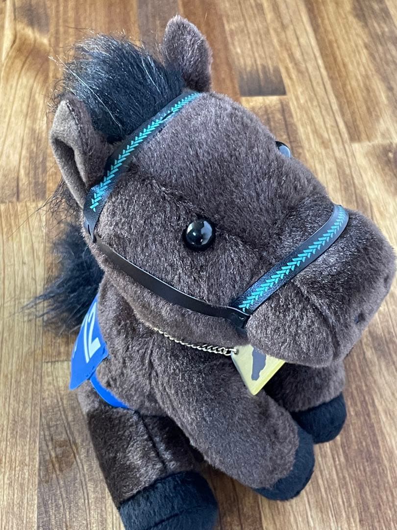 第48回 有馬記念 シンボリクリスエス アイドルホース 藤沢和雄厩舎