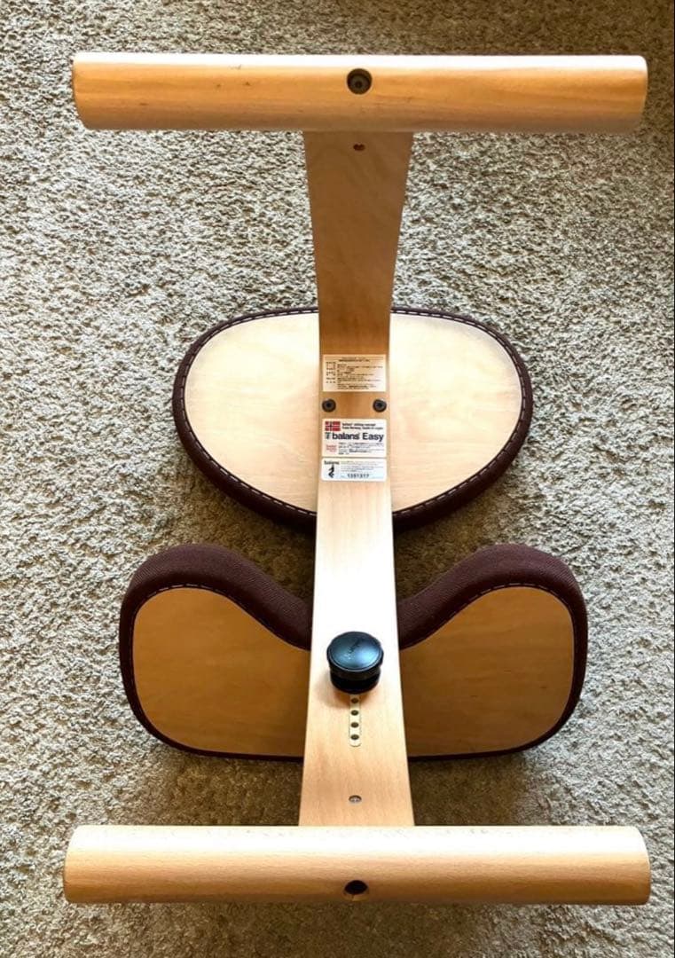 ニソエ様専用！バランスチェア イージー - メルカリ