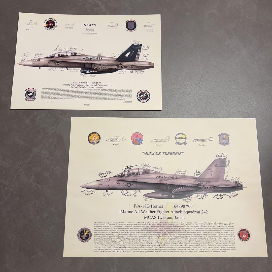 【即購入◎】F/A-18D Hornet ポスター サイン付き F/A-18 Hornet Propaganda Poster – flightposterstore