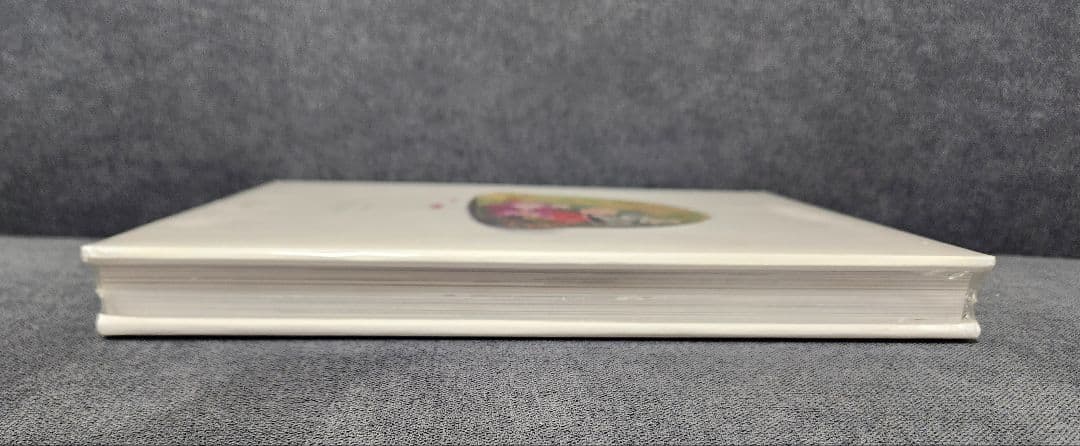 【未開封】fuct rizzoli Erik Brunetti ファクト art