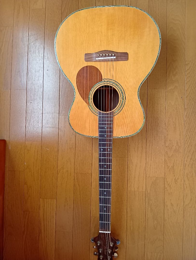 ギター Greg Bennett Used Samick GREG BENNETT FASTBACK QUILT Offset Double Cutaway