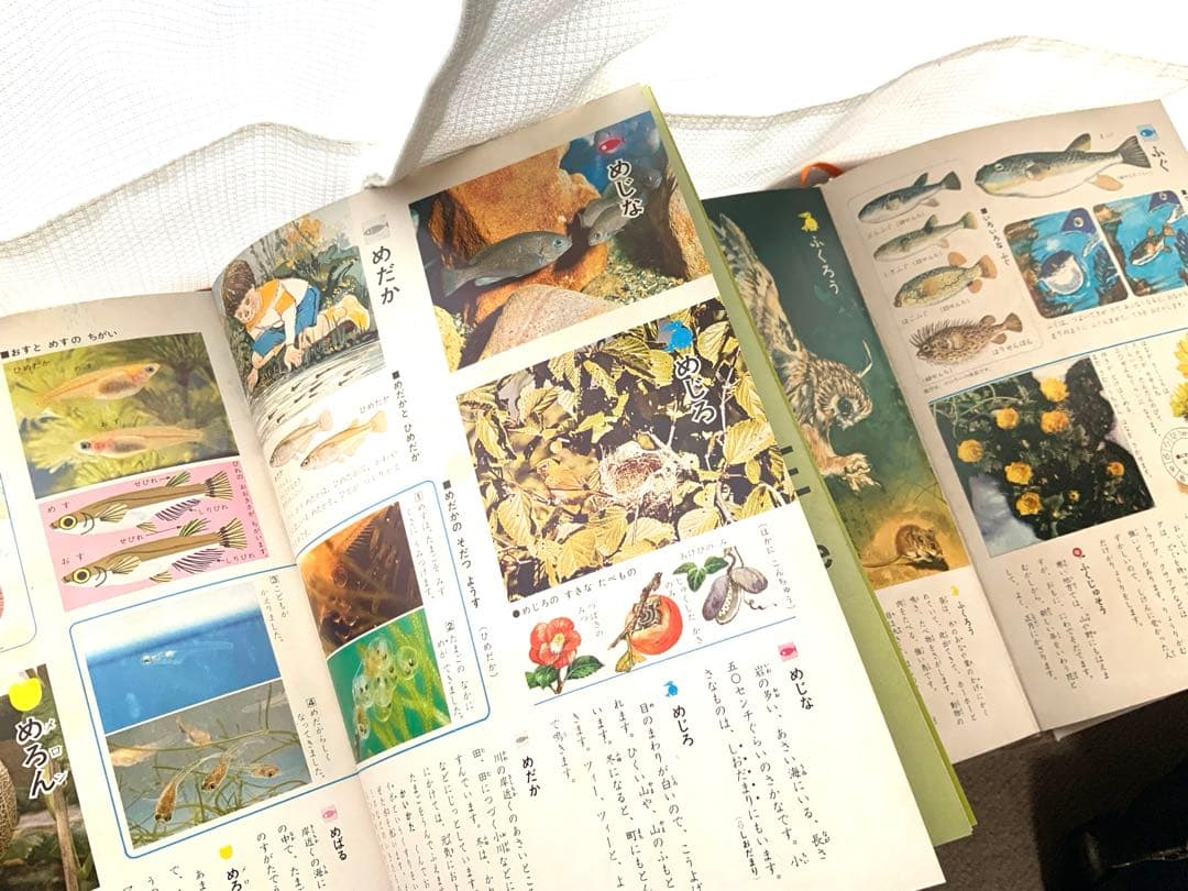 レア 学習こども百科 3,6,7,9,10 5冊セット 昭和 レトロ 学習本 - メルカリ