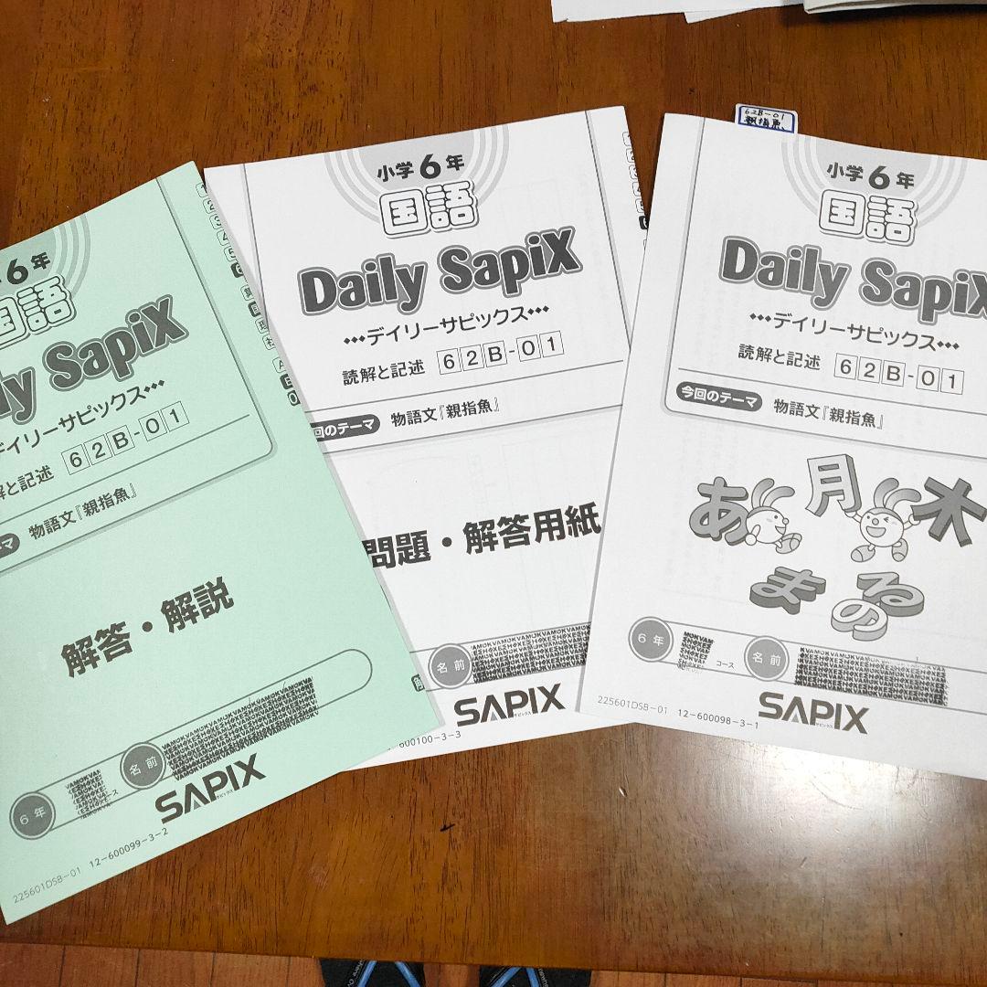 サピックス SAPIX 小学6年 国語 デイリー サマー ウィンター など