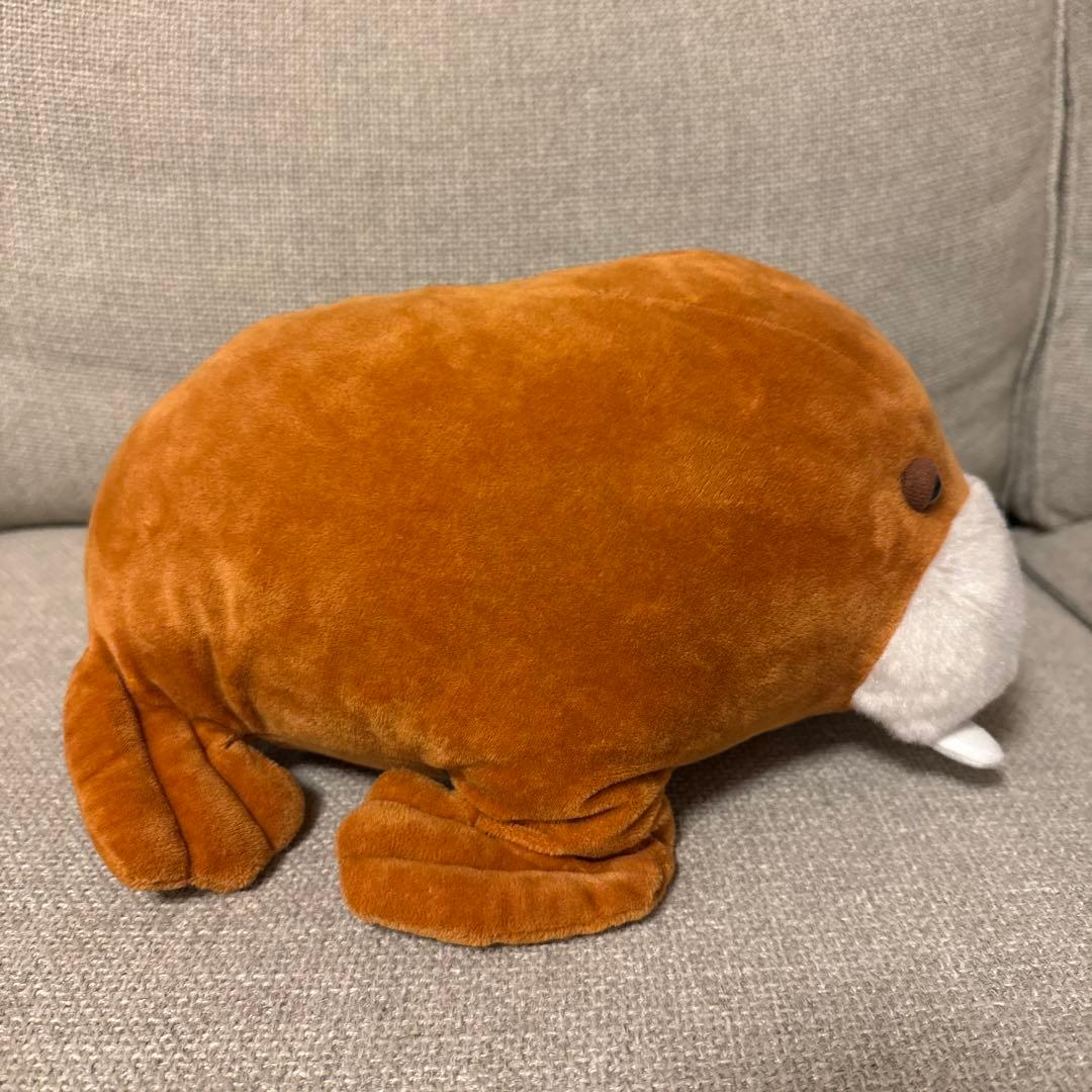 オットセイ アシカ トド セイウチ ぬいぐるみ もちもち ORANGE - メルカリ