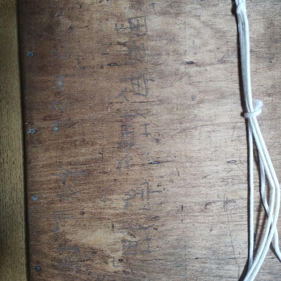 杉山佳　野良猫と家猫