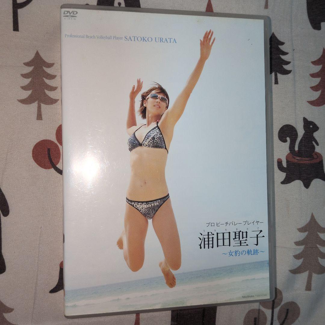 浦田聖子 ビーチバレー DVD ビキニ ハイレグ ビーチの女豹 腹筋美女