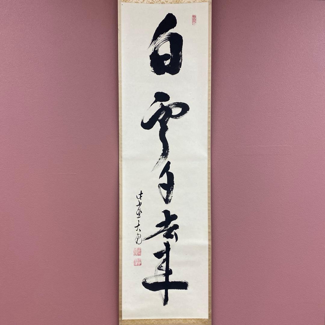 美品 掛け軸 大徳寺 立花大亀作「白雲自去来」共箱 中島静
