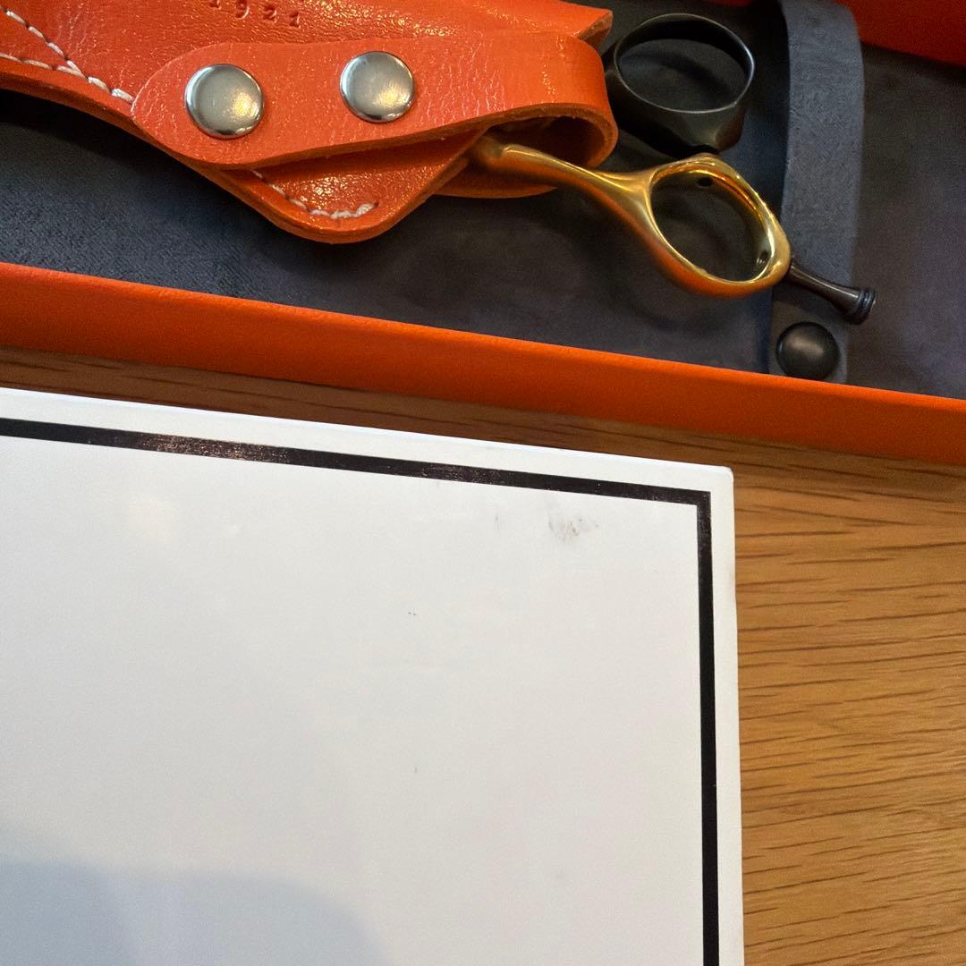 ✨MIZUTANI ✨Stephen Moody シザー5.0