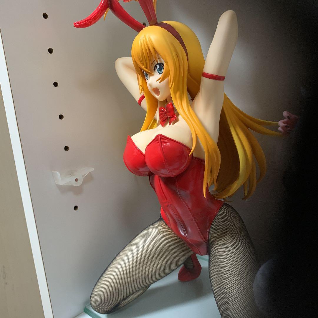 一騎当千　孫策伯符 バニーVer フリーイング