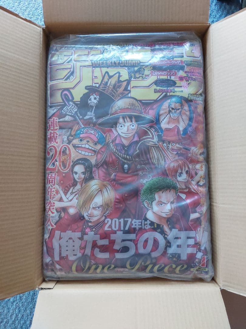 ONEPIECE 一番くじ ジャンプ型クッション ダブルチャンスキャンペーン うーん、ダブルチャンスキャンペーン‼️ 当選数100って…こりゃGETする