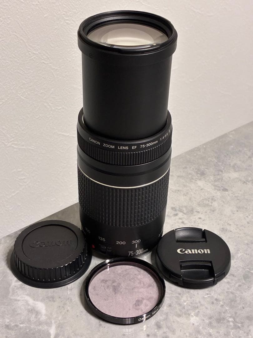 ⭐️美品⭐️Canon EF 75-300mm F/4-5.6 III