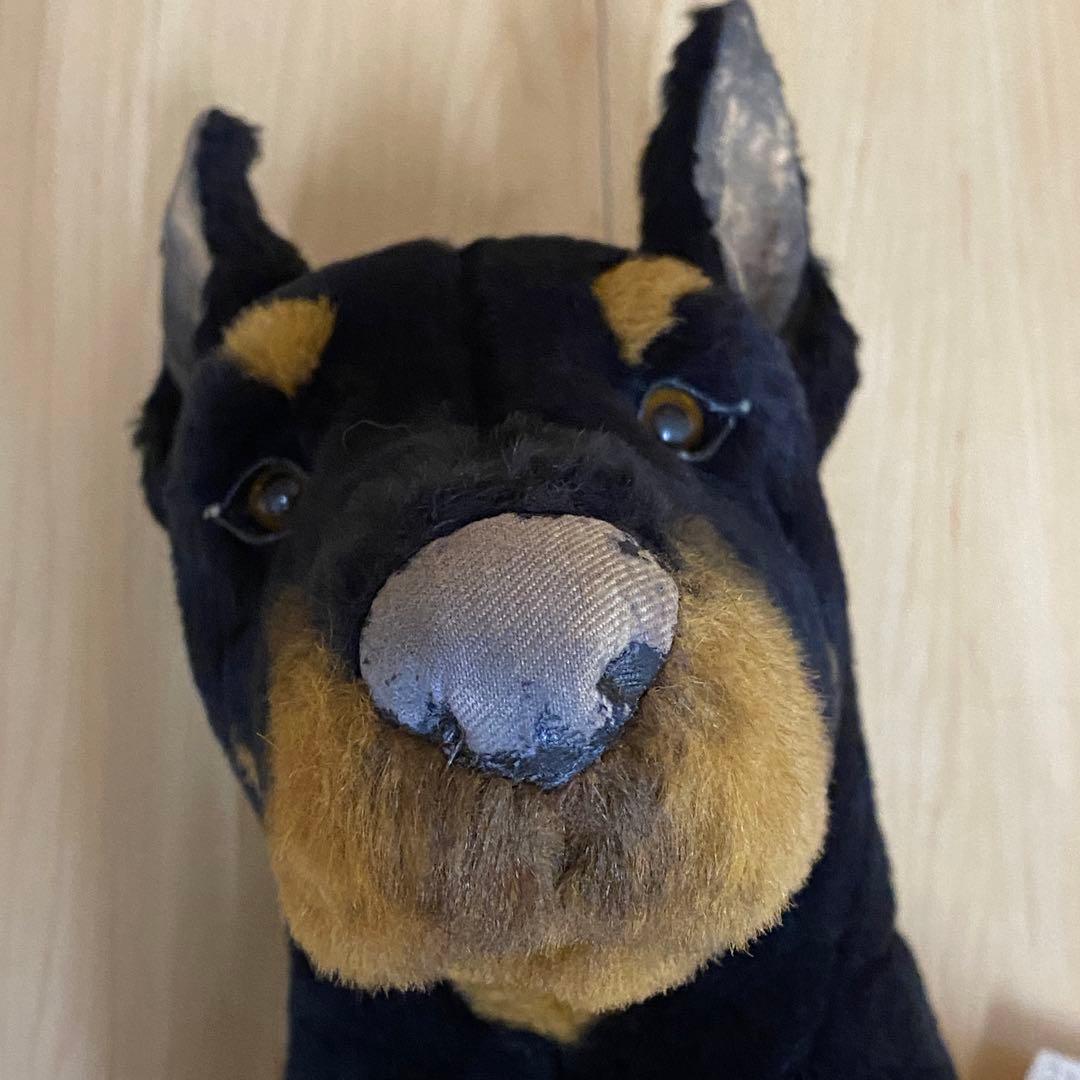 ジョックライン イタリア製 特大 ドーベルマン 座り ビッグサイズ no