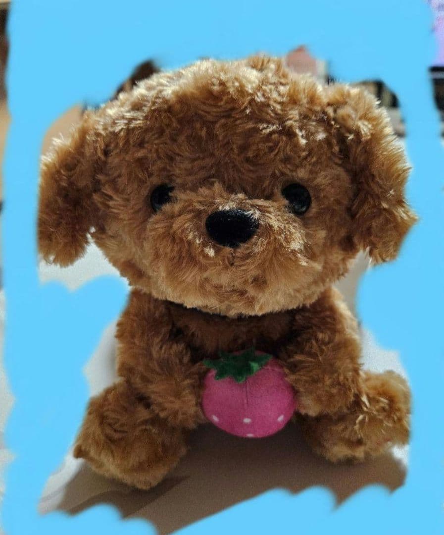 ゼニゲー Kawasaki/Ninja ZX-25R/SE (2BK-ZX250E) POWERBOX FULL | SP忠男