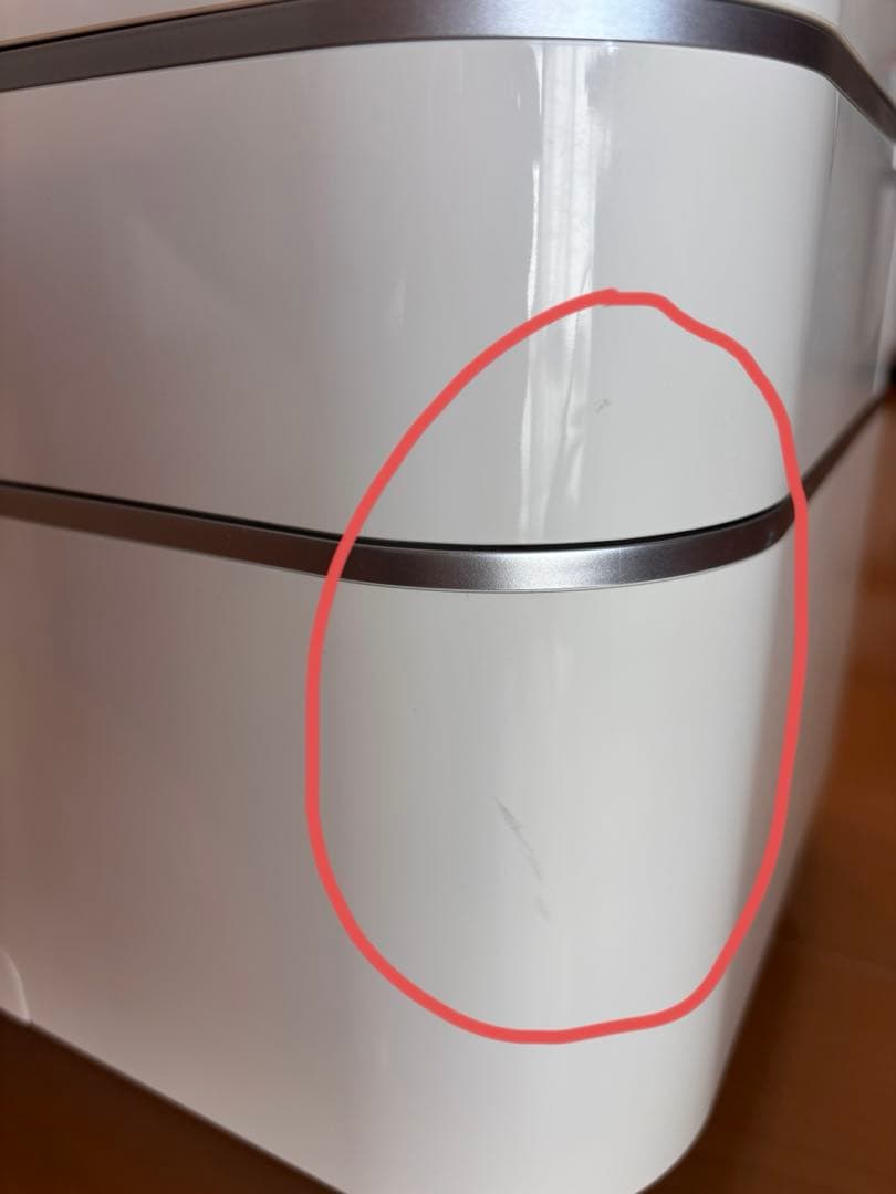 sagina 美顔器　大幅値下げ中