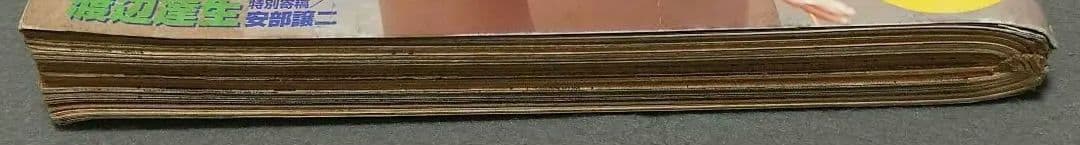 週刊ヤングサンデー2006年15号『舐め女』読切/伊藤潤二/小松彩夏ピンナップ付