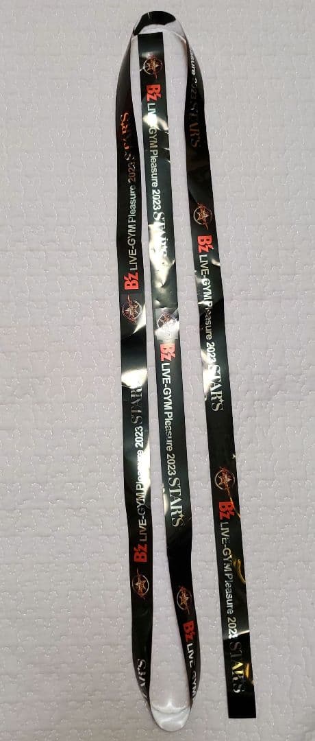 B’z LIVE-GYM Pleasure 2023 -STARS-プレミアム席