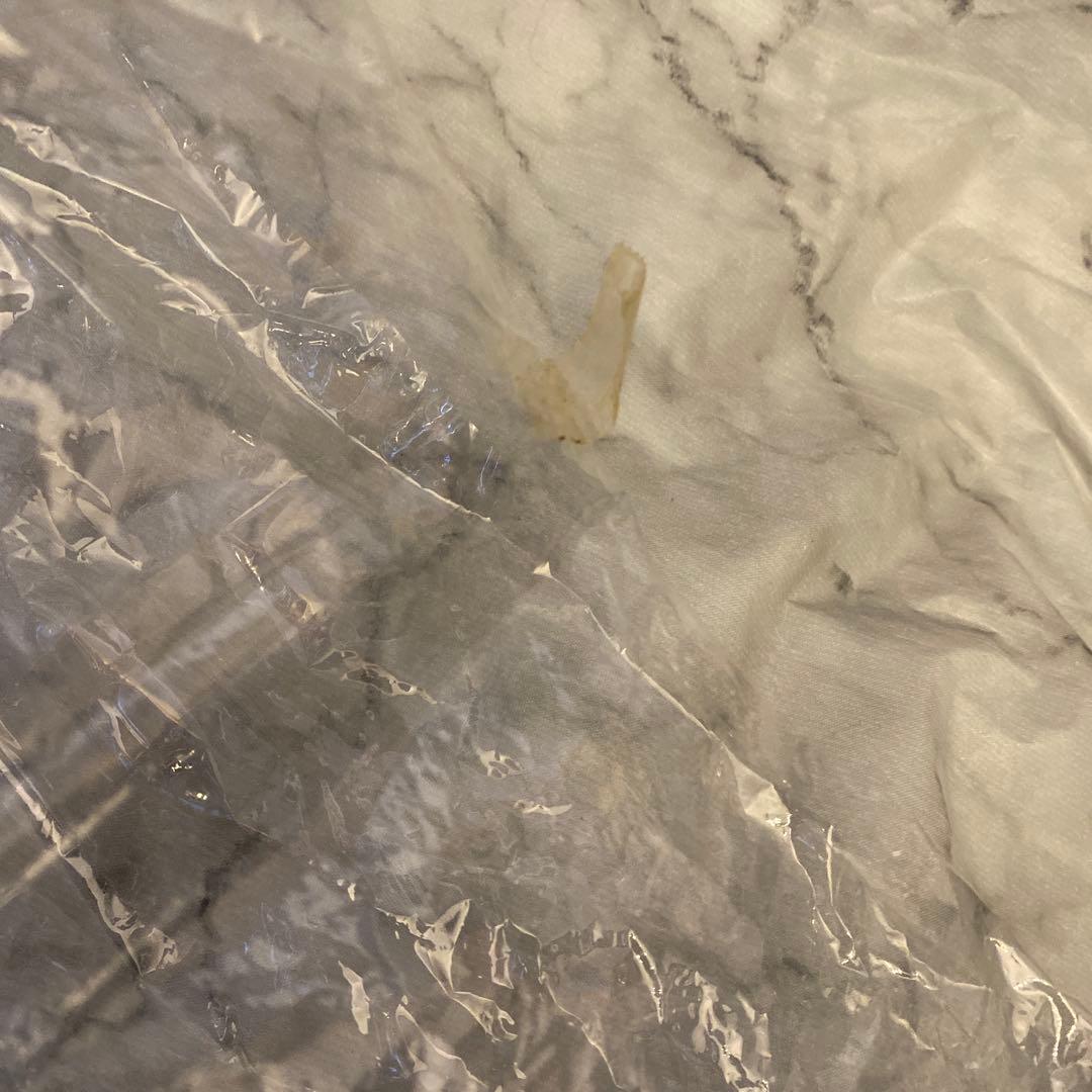 《エンジェルブルー》ハナちゃん ぬいぐるみ 当時物 レア 平成