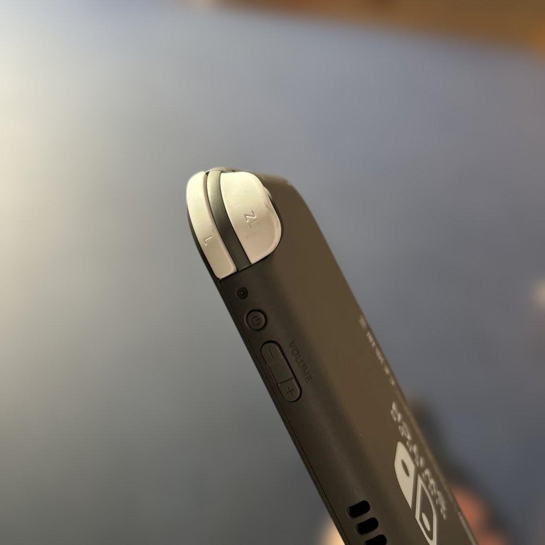 《動作確認済み》Nintendo Switch Lite グレー