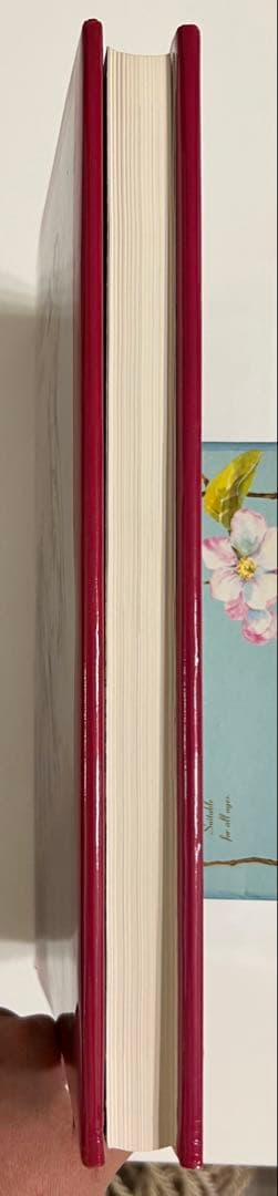 Lewis I. Kahn ルイイカール　エッチング全集　カタログレゾネ