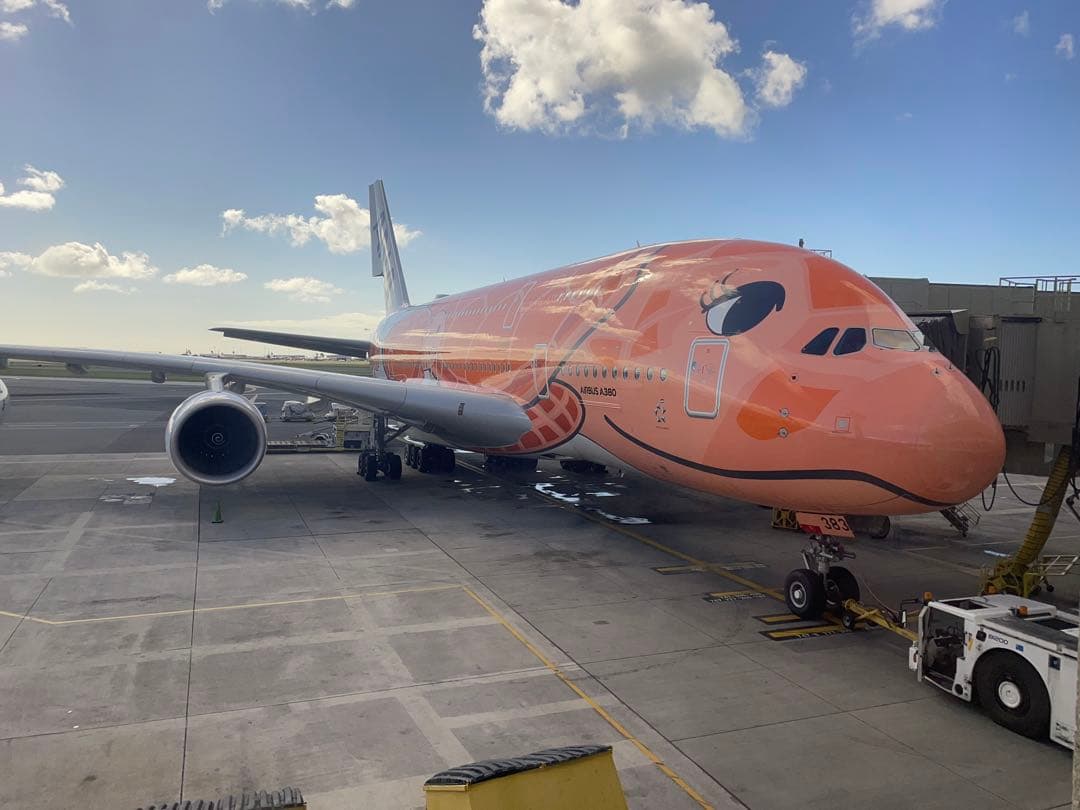 ANA✈︎A380 機内販売限定】フライングホヌ 大 ぬいぐるみ ラニ(青