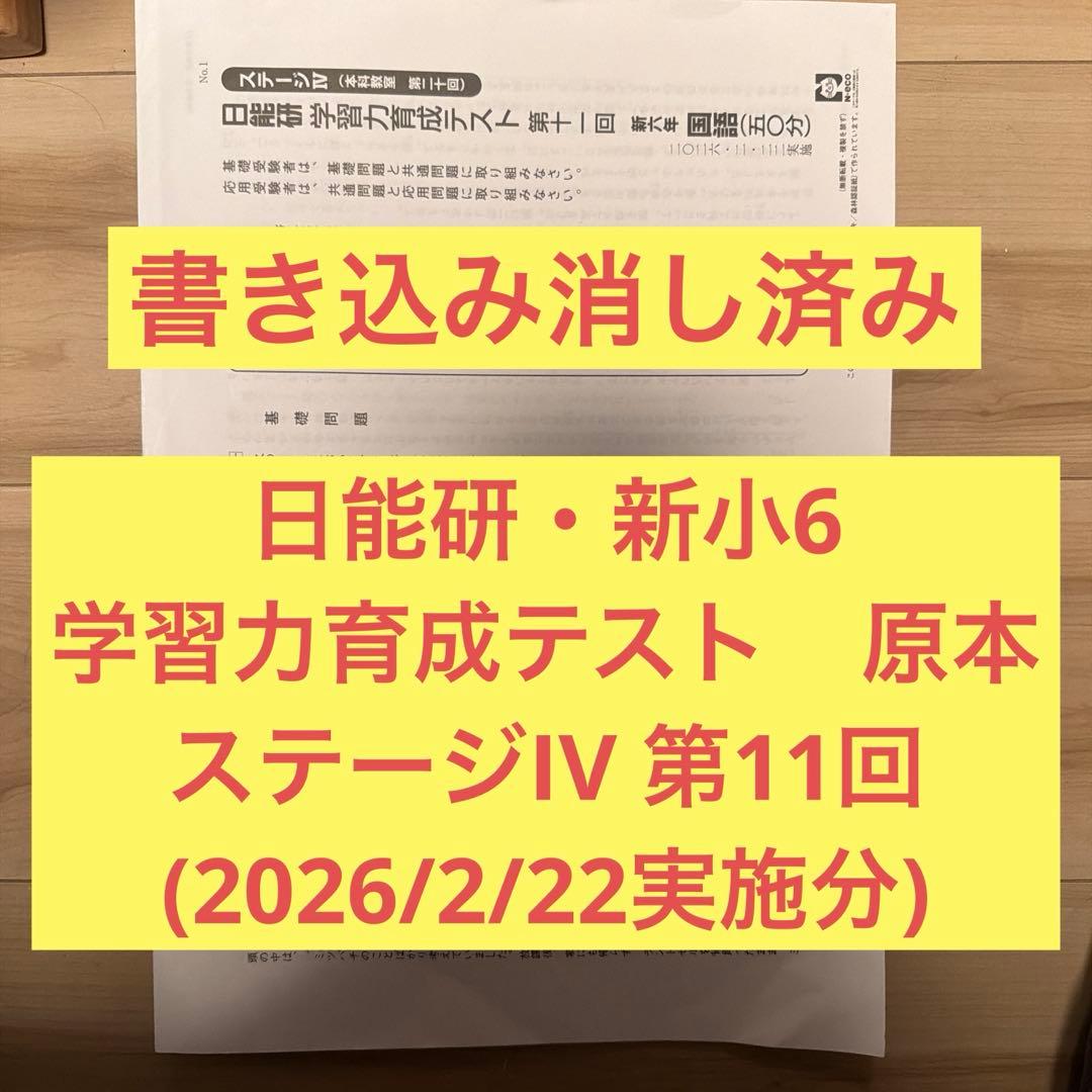 最新版・書き込み消し済み・原本】日能研 新小6 学習力育成テスト第11