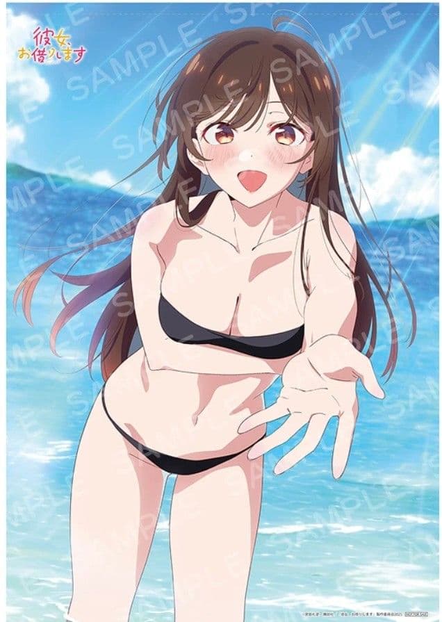 彼女、お借りします 第4期 Blu-ray 上巻 Amazon特典 タペストリー Amazon.co.jp: TVアニメ「彼女、お借りします」第4期 Blu-ray 上巻