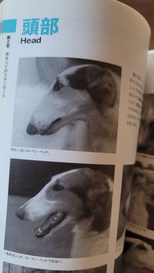 絶版】200p越！ボルゾイの事典(大関京子著)ハウンド狩猟犬好きへ