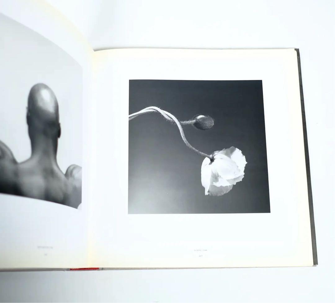 ROBERT MAPPLETHORPE 洋書 写真集 RANDOM HOUSE