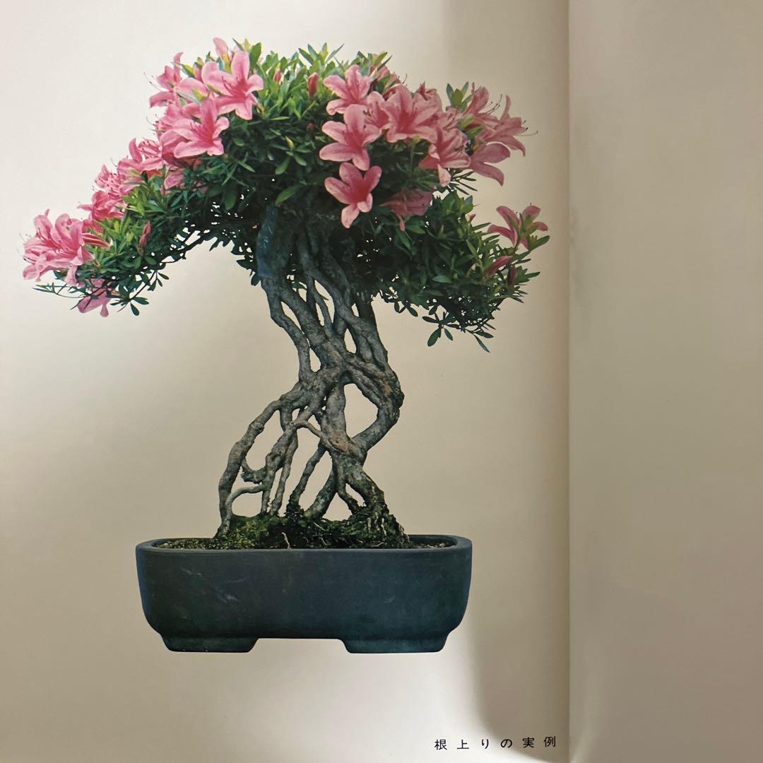 高等教範 盆栽の基本樹形 上下巻 中津千吉 - 趣味・スポーツ・実用販売 中