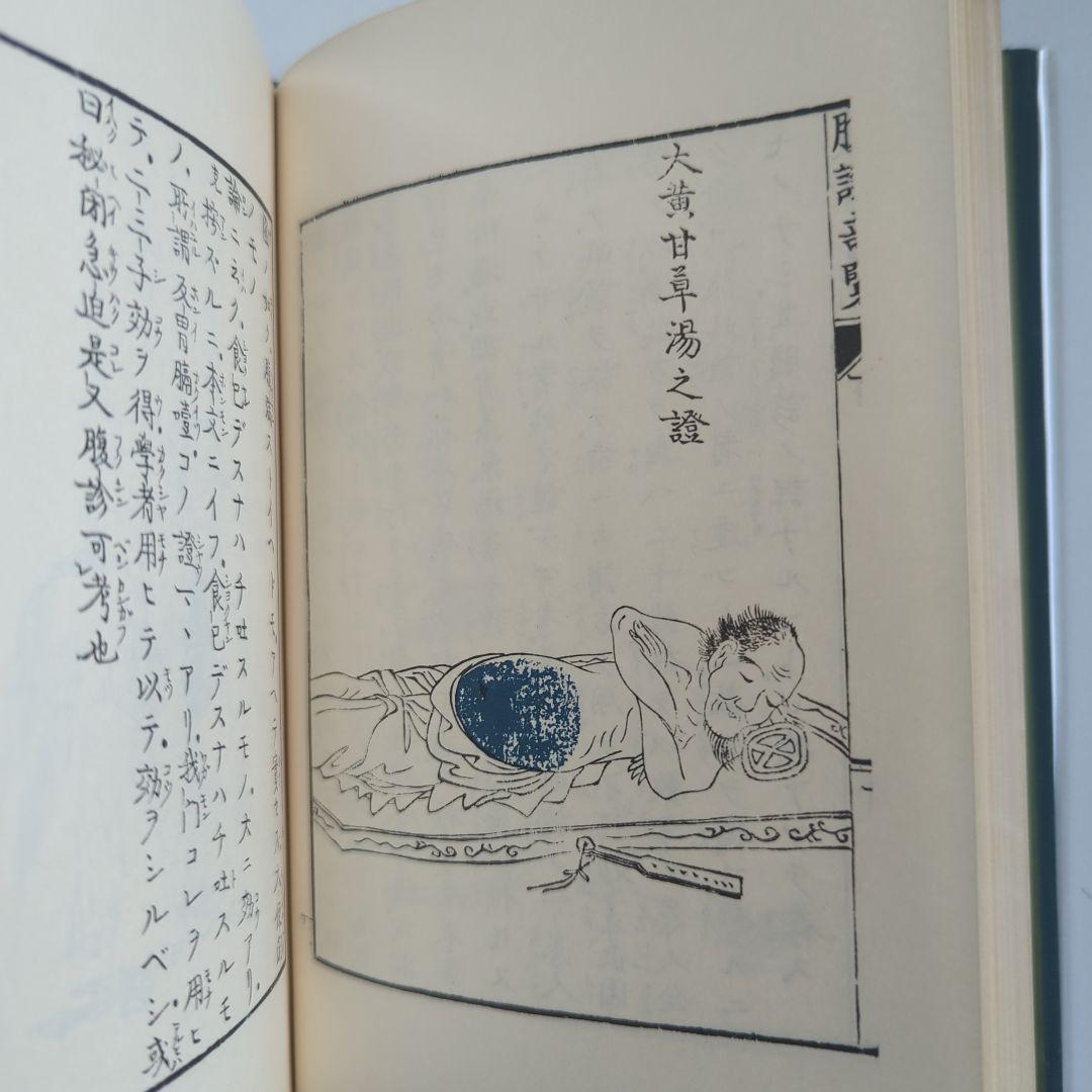 稲葉文礼 和久田叔虎 (腹証奇覧•腹證奇覧翼) 近世漢方医学書集成 83