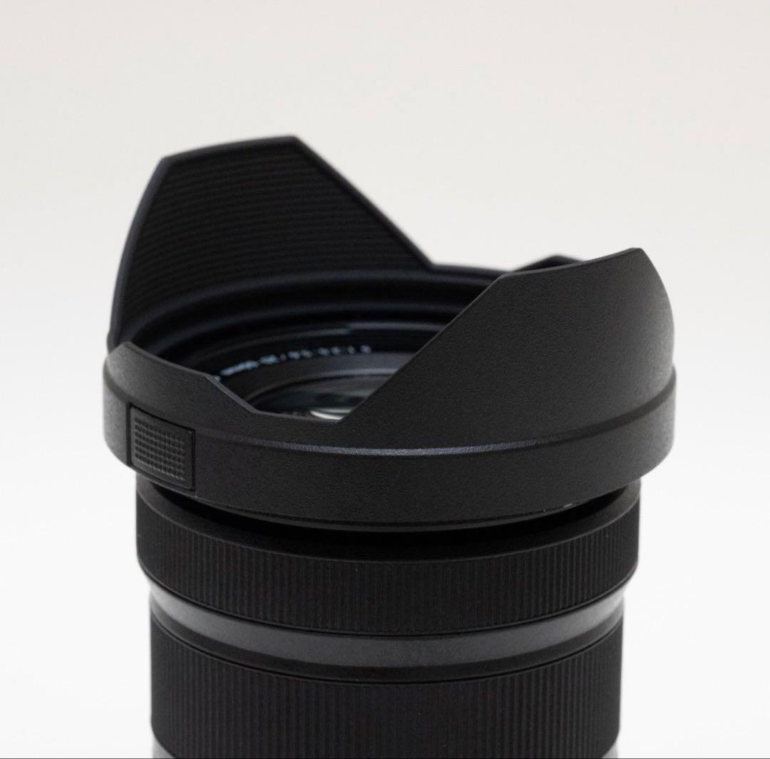 【美品】LUMIX S 20-60mm F3.5-5.6