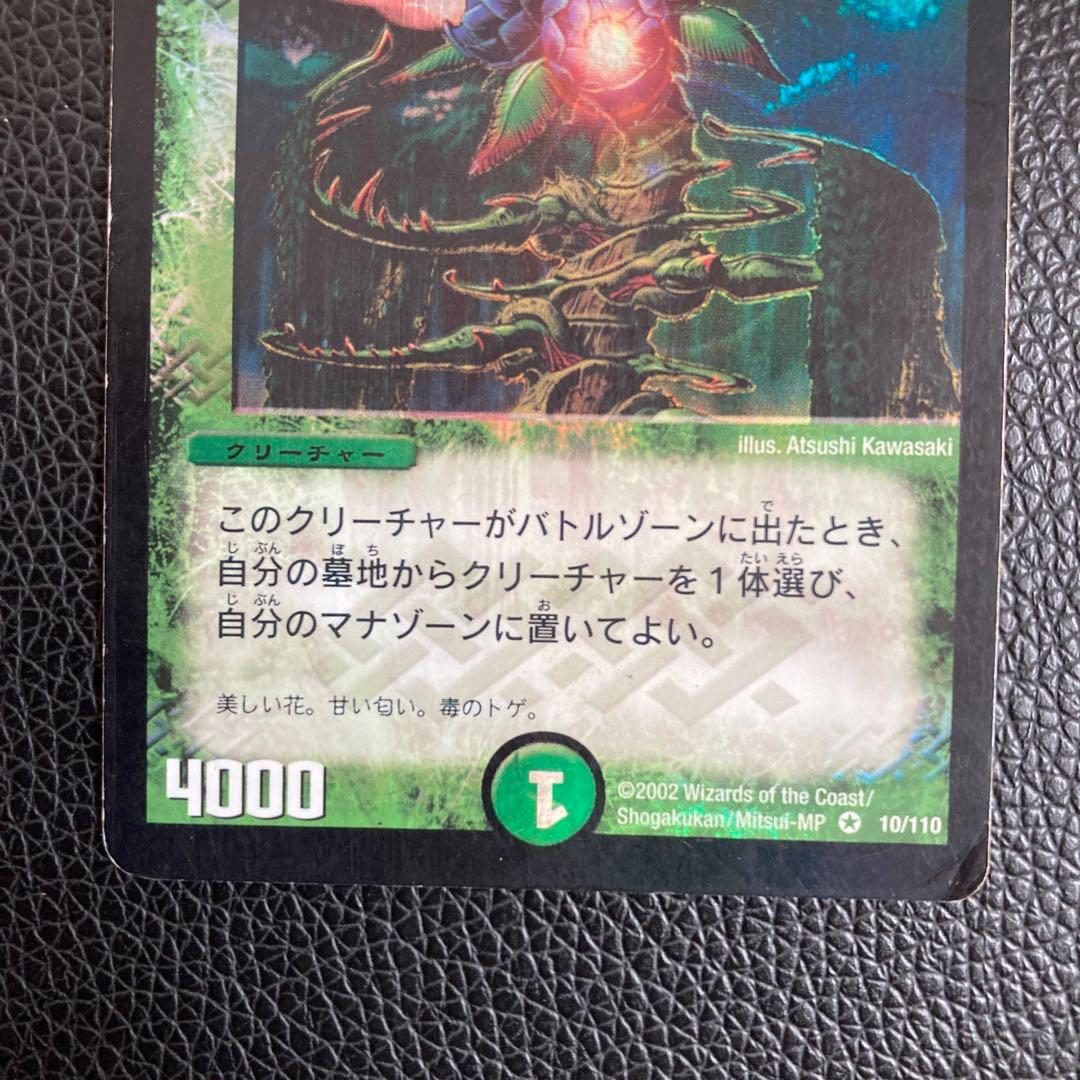 トゲ刺しマンドラ 初期 - メルカリ