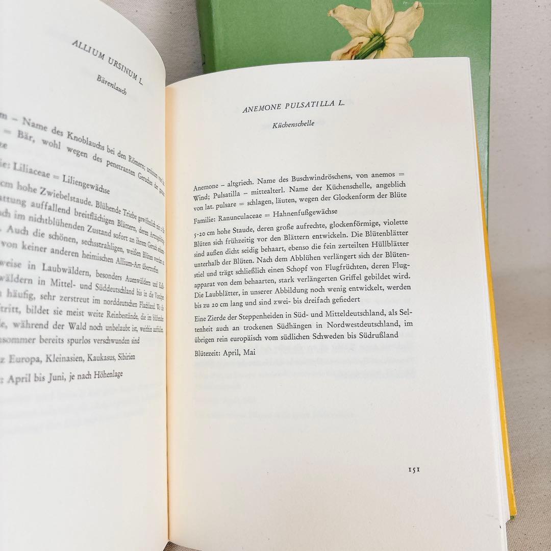 繊細なタッチの植物画 2冊セット Elsa Felsko 1960年 - メルカリ