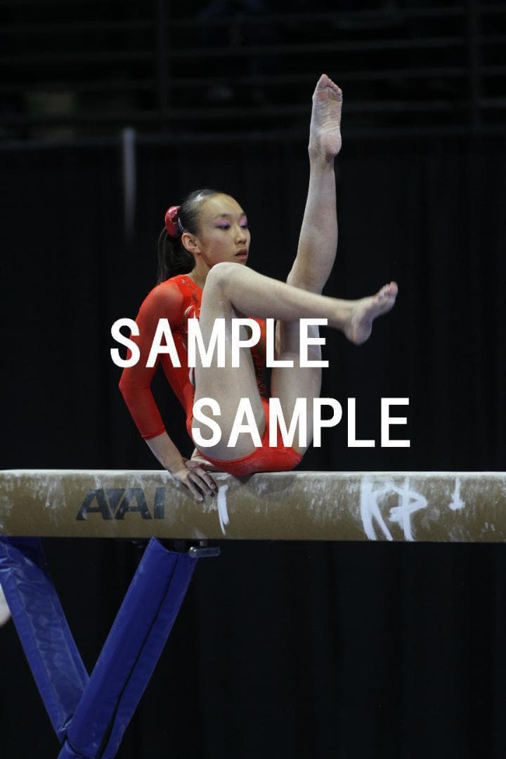 ひなた様専用】97~19年 女子体操画像集(日本選手中心) 48万枚以上