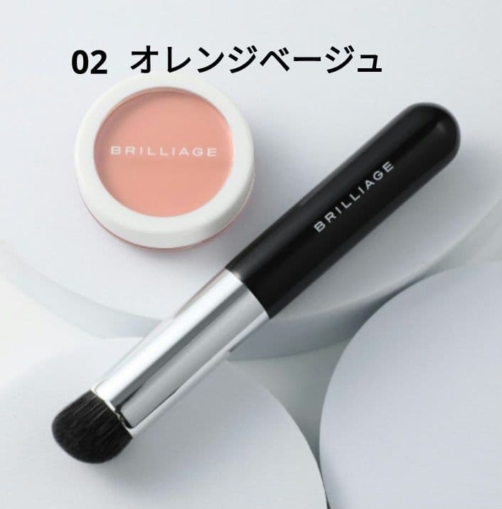 ブリリアージュ カモフラージュコンシーラーチーク ＆ ワイド