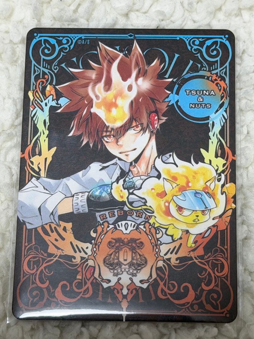 沢田綱吉 ジャンフェス 特典 - メルカリ