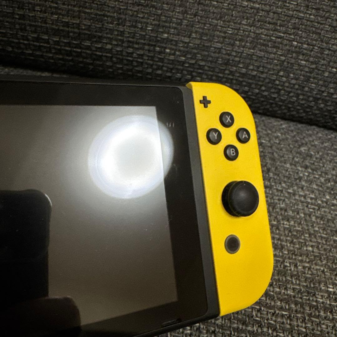 ゼロワンワン様専用】Nintendo Switchピカブイデザイン