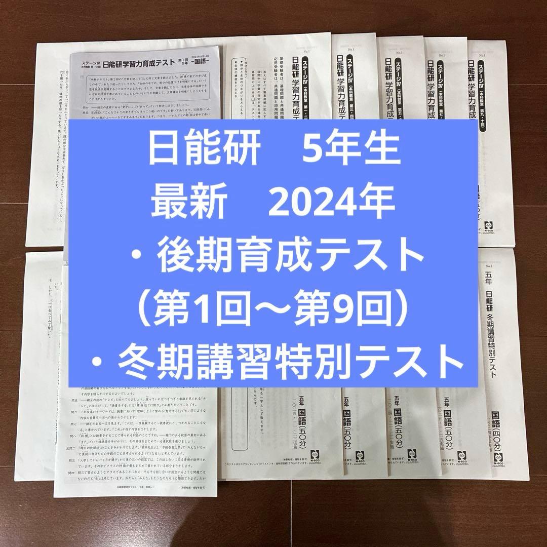 日能研　5年生　育成テスト、冬期講習特別テスト 日能研5年冬期講習特別テスト、育成テスト - メルカリ