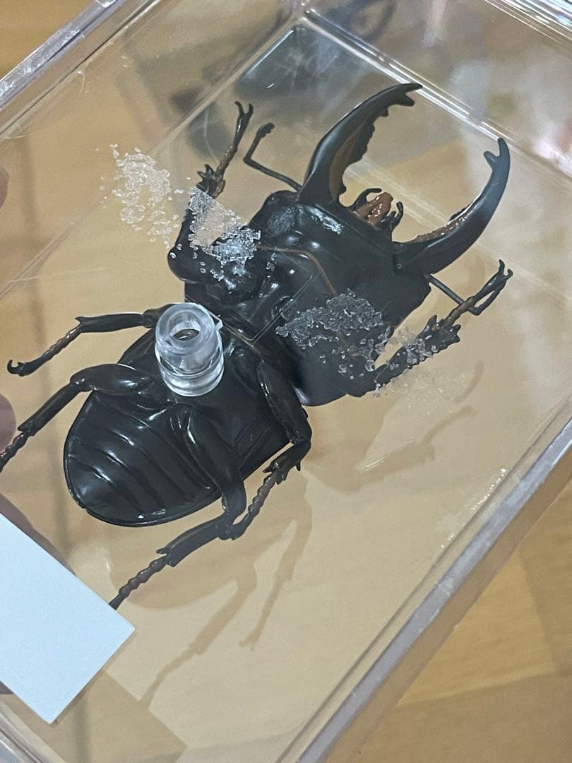 ディアゴスティーニ 世界の昆虫 フィギュア 29種類 - メルカリ