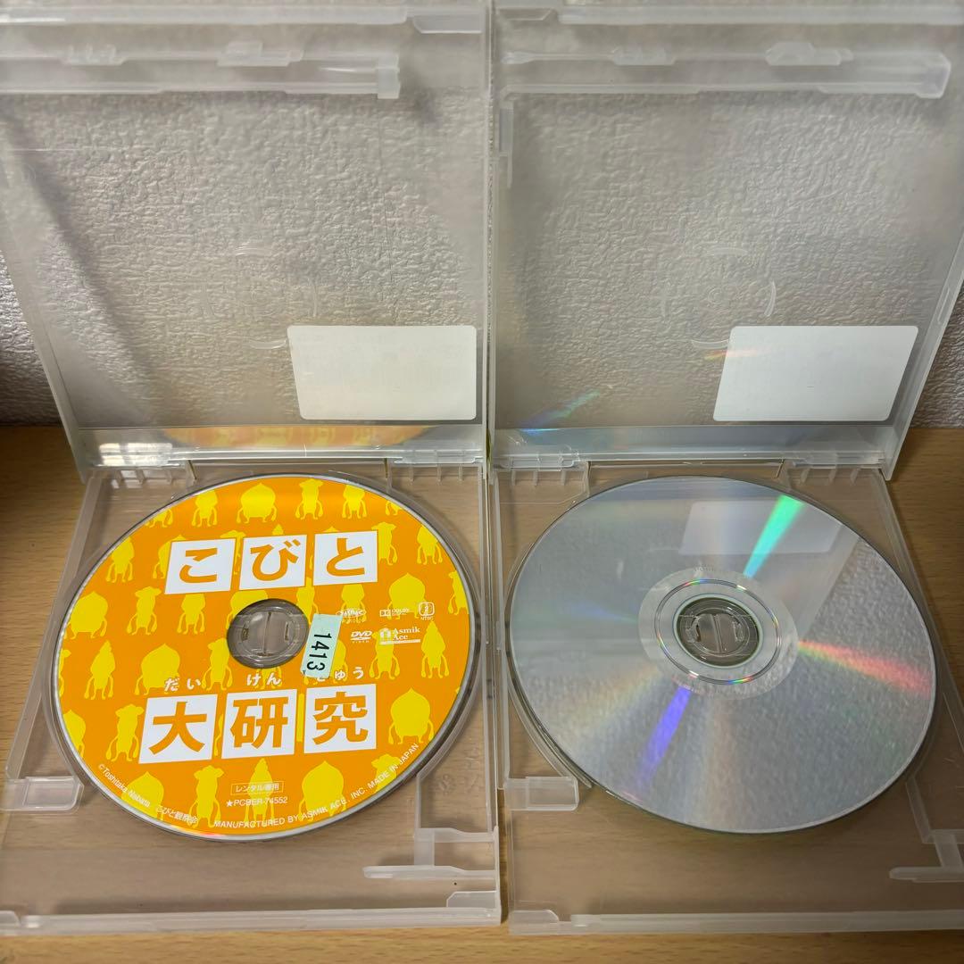 こびとづかん 観察入門 こびと大研究 DVD セット レンタルアップ 希少