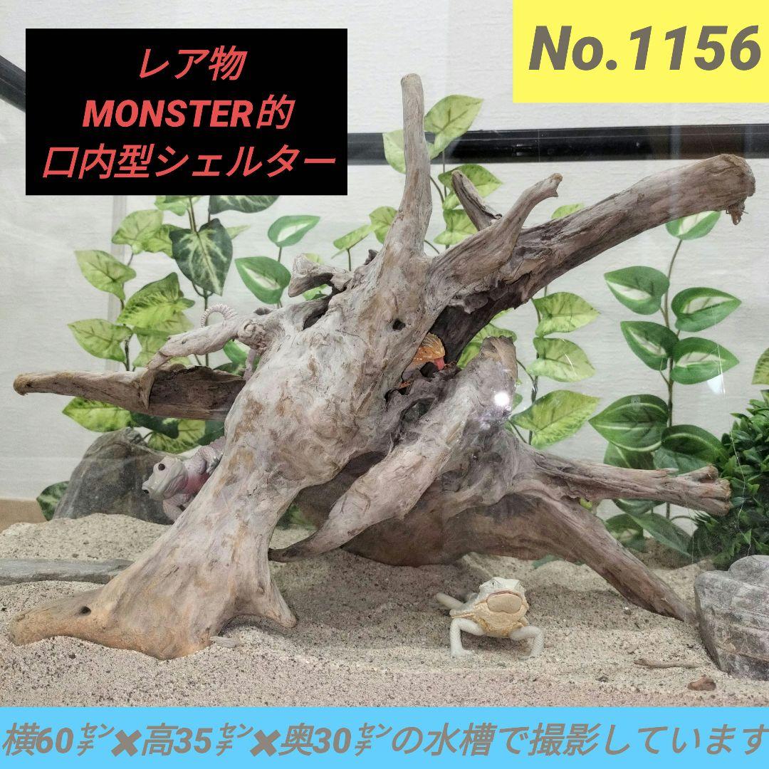 No.1156】レア形状シェルター流木 爬虫類レイアウト✫インテリア